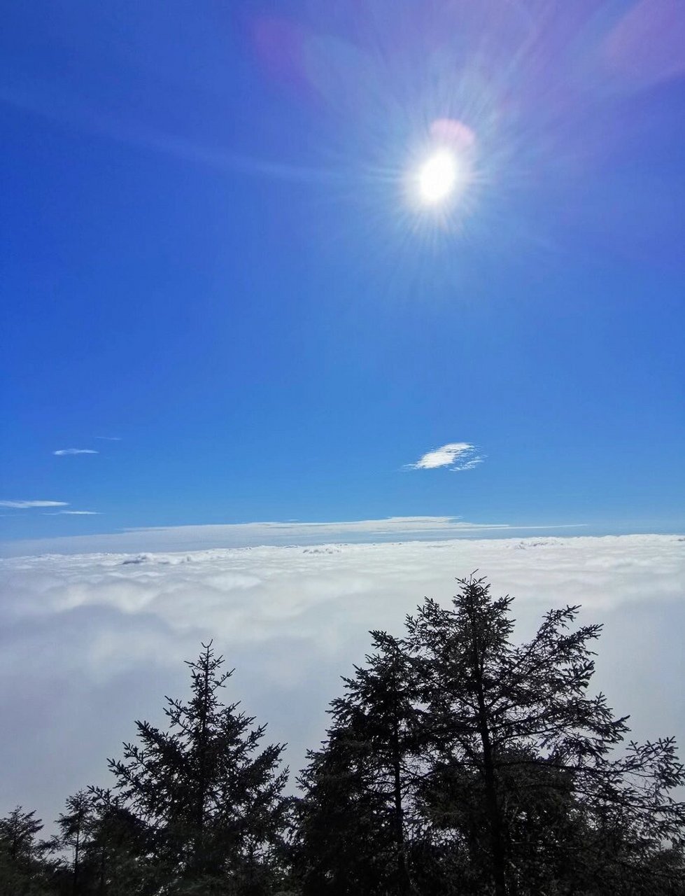 四川小众看云海爬山地～绵阳千佛山 99四川省绵阳市安州区千佛镇 1