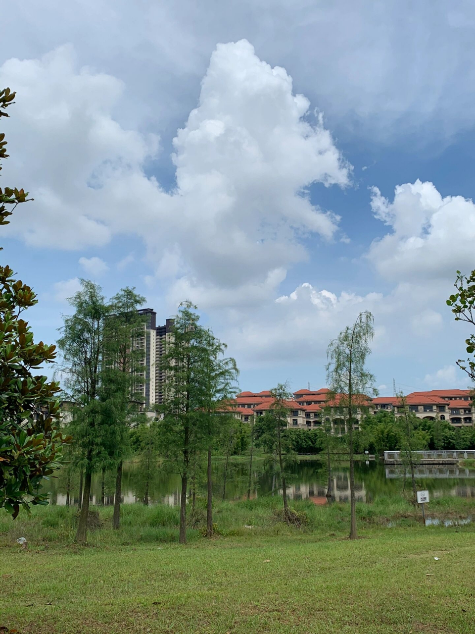 江门鹤山|共和生态公园7415 7415共和生态公园7415 96