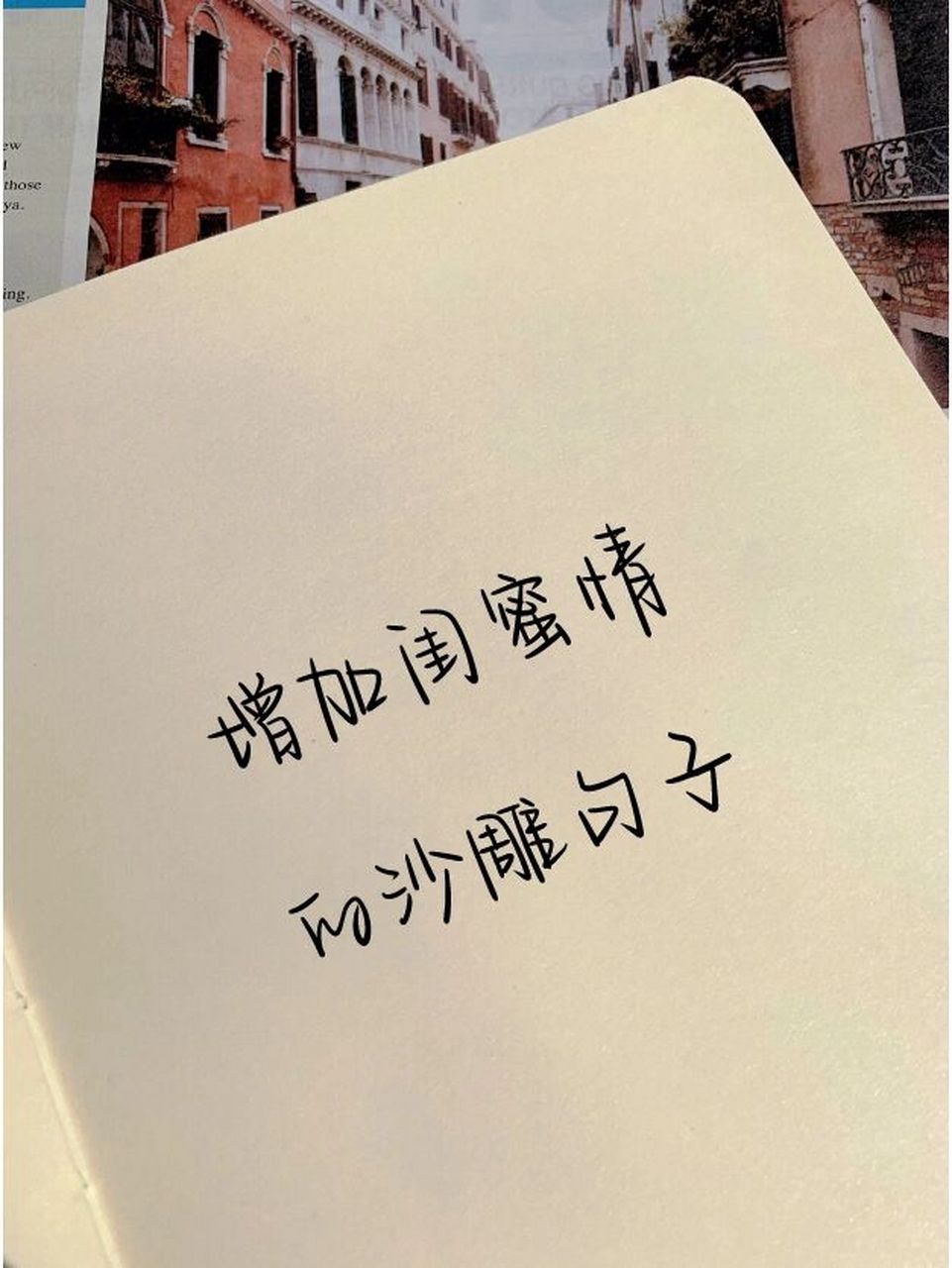 句子分享📝增加闺蜜情的沙雕句子 🙄梨花桃花玫瑰花,你是我的姐妹