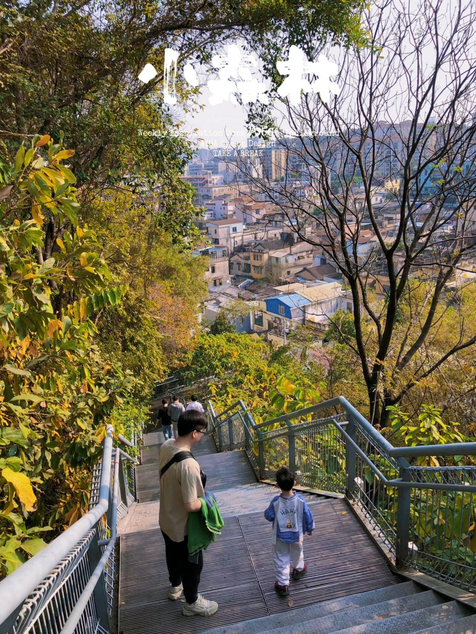 顺德大良华盖山栈道图片