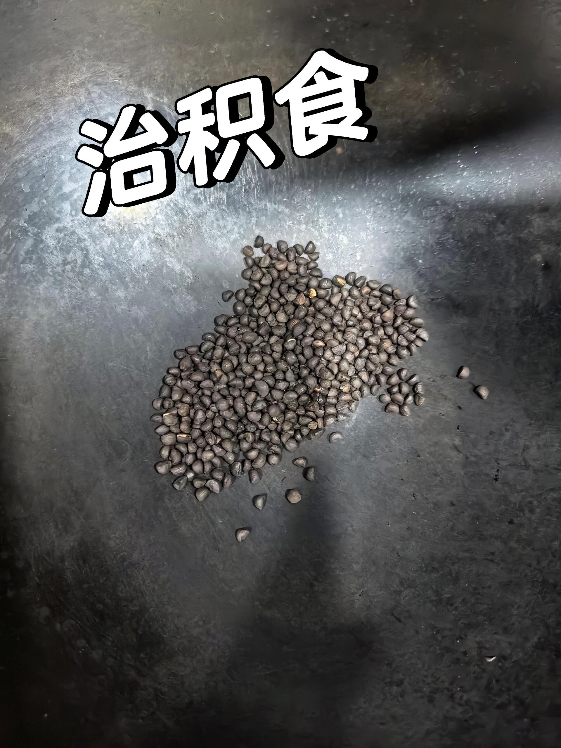 小儿积食炒牵牛子图片