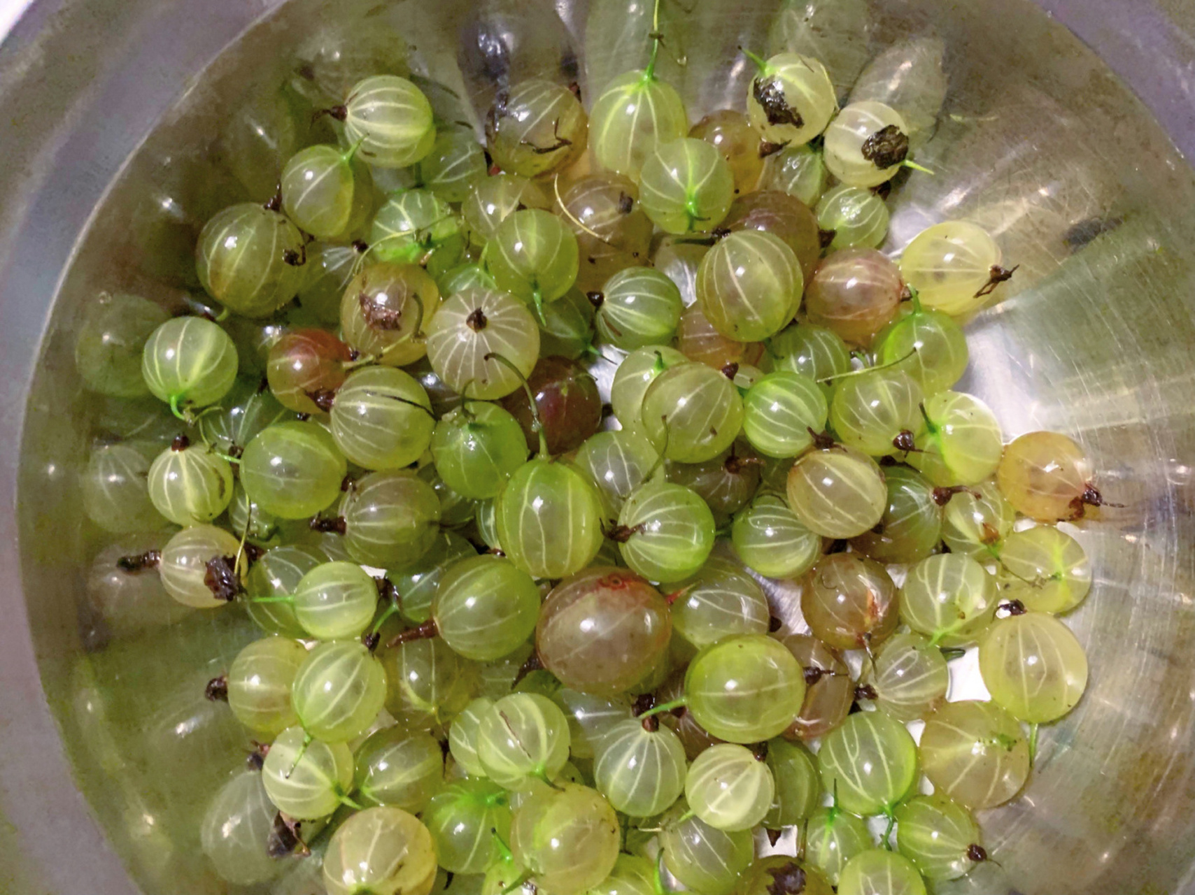 坐标日本东京|每天都在吃奇奇怪怪的水果 图一:灯笼果(婆婆说是只有