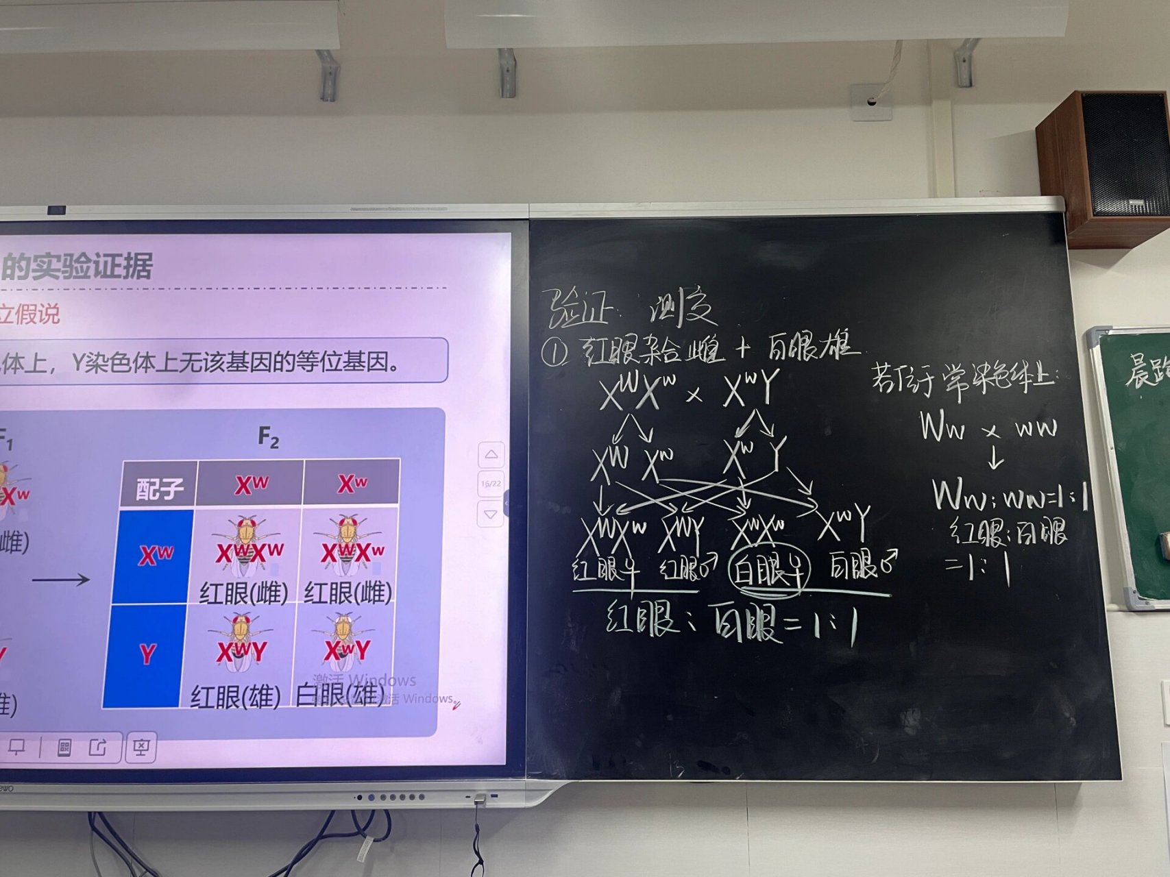 高中生物板书高一图片