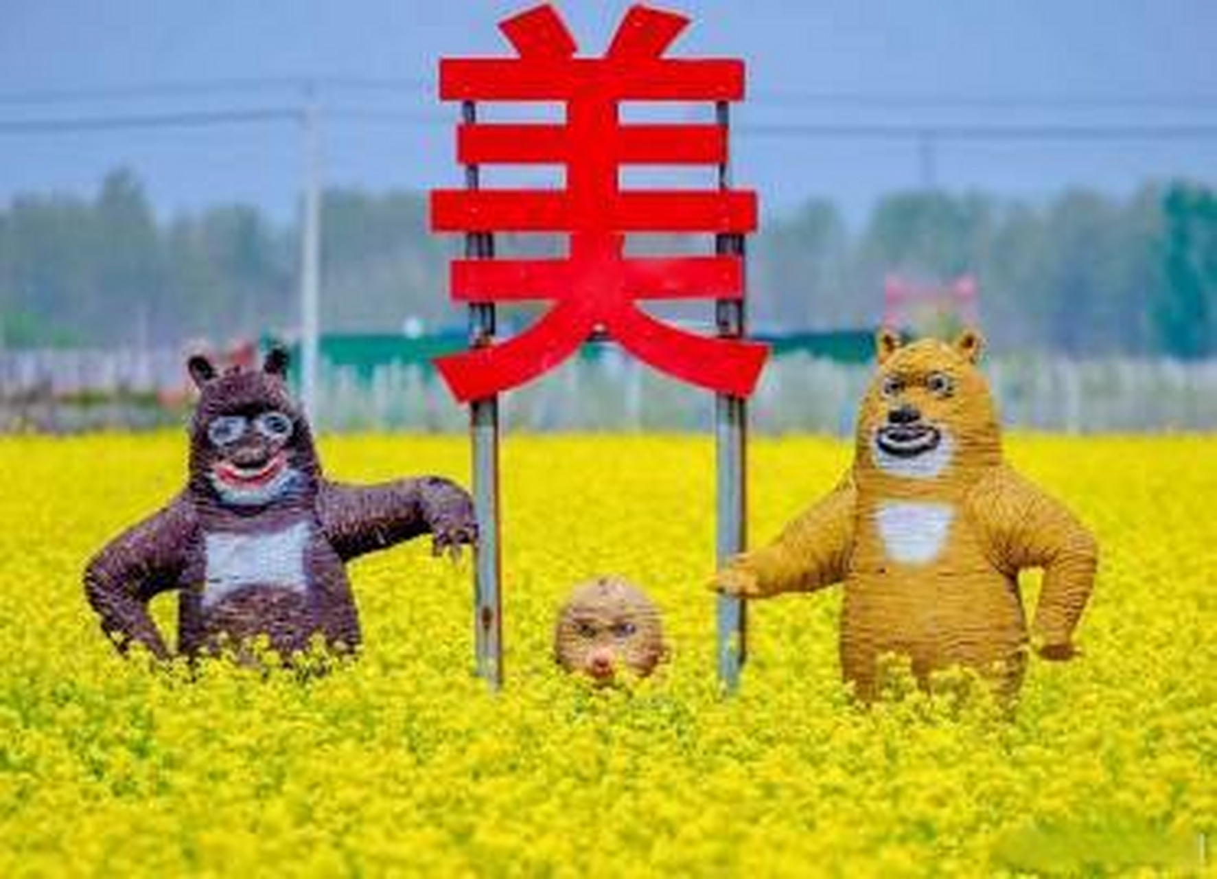 最in山东打卡地#  #济南油菜花盛开#   章丘平陵古城有一大片油菜è