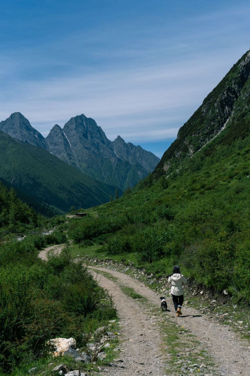 结斯沟|野生的童话露营地721599 趟过石子小溪 穿过一道道牦牛