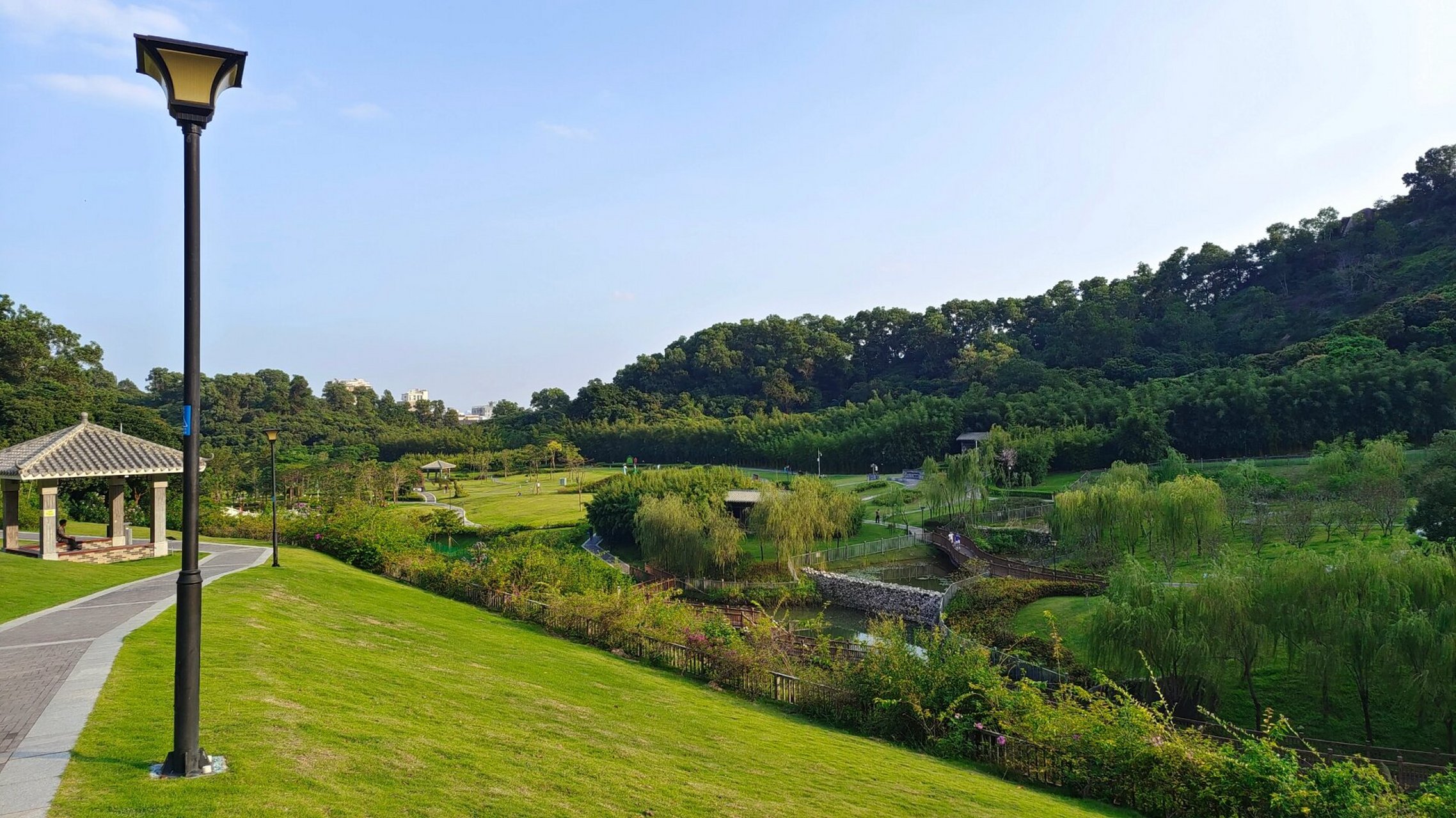 簕杜鹃谷公园太美啦 簕杜鹃谷公园,在凤凰山的脚下,辽阔的草坪,绽放的