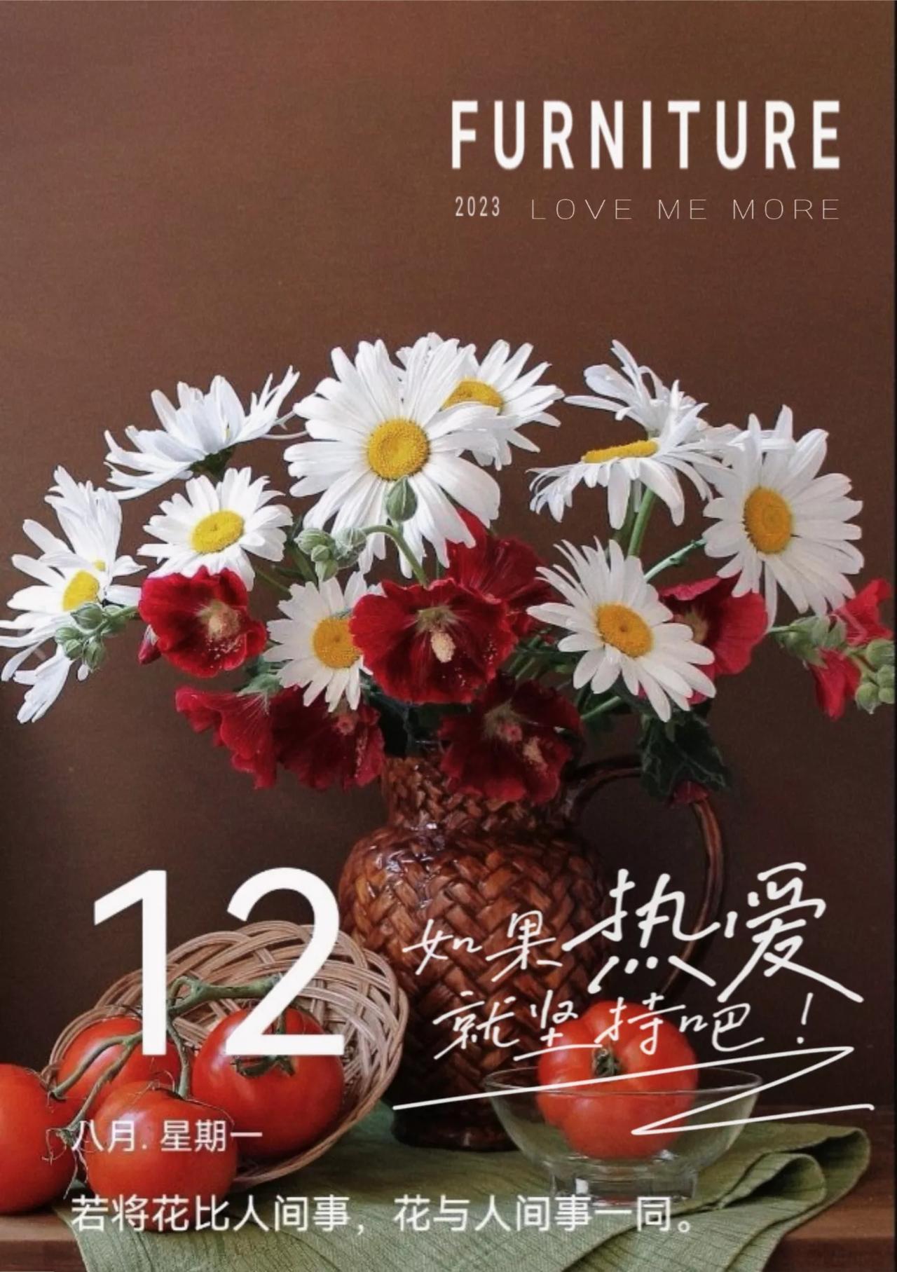 头条创作配图版软件哪个好(头条创作配图版软件哪个好一点)