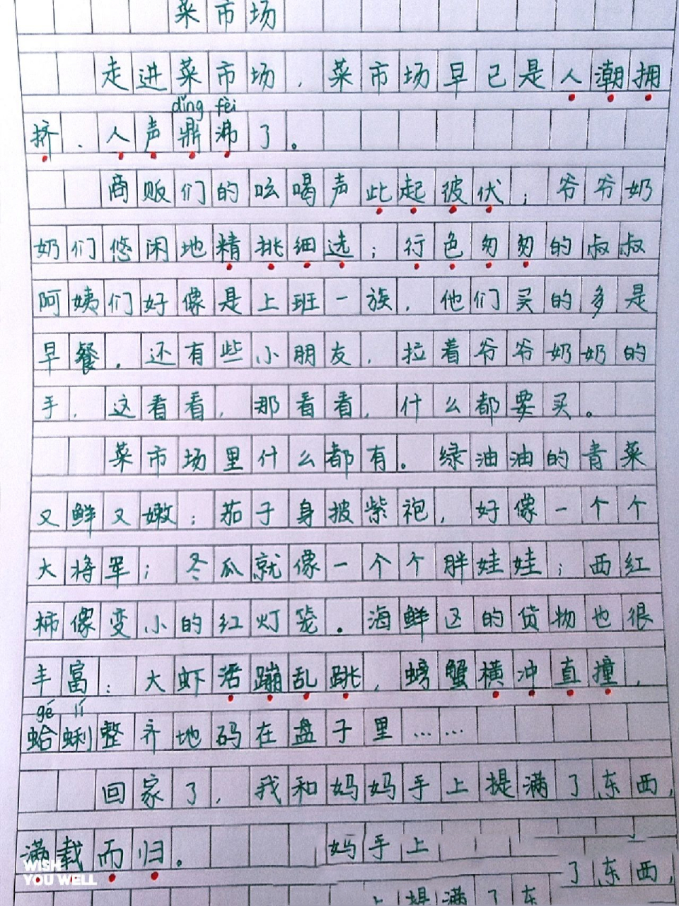 三年级年级作文-菜市场
