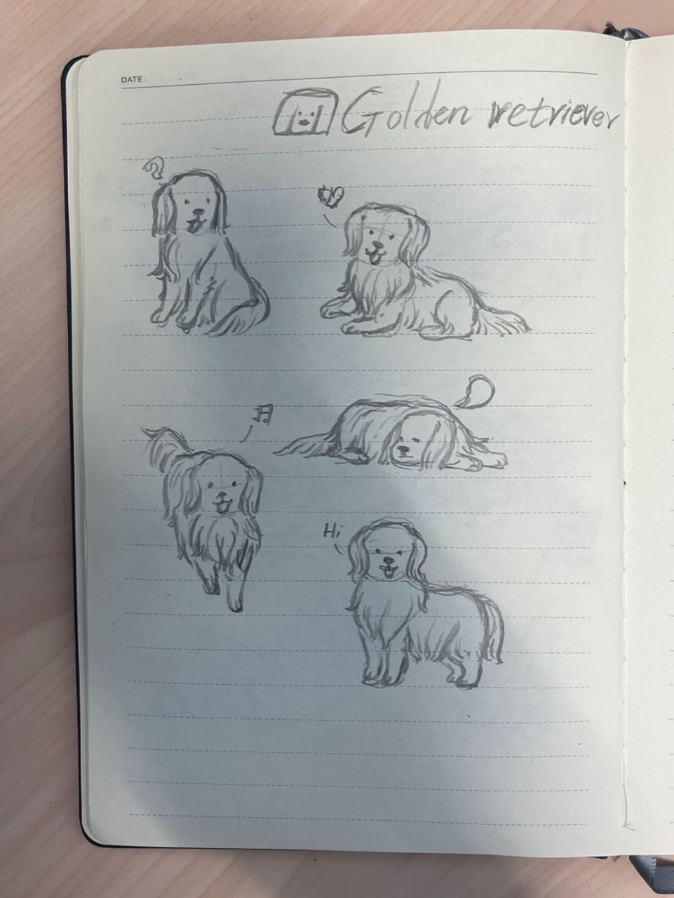 98狗狗简笔画100-13|金毛 狗狗简笔画第13弹!今天是小金毛!