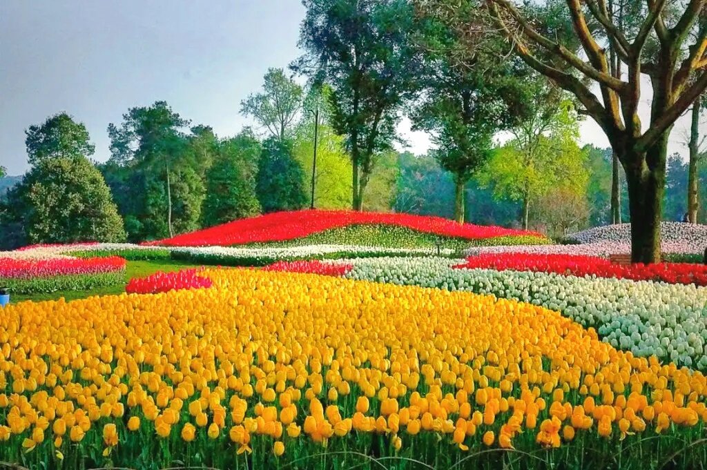 看够那时的花景94没关系看过来,成都石象湖景区九月一样能满足你们