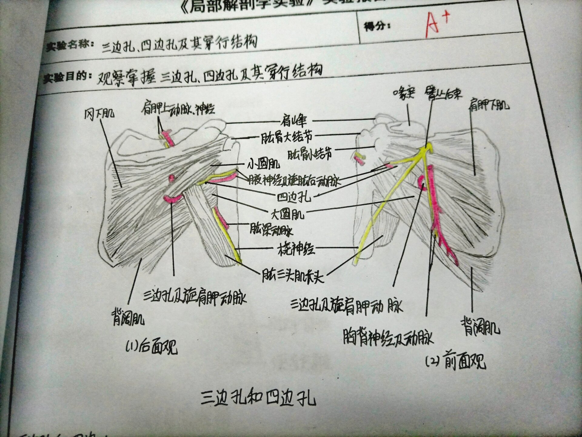 局解实验报告4三边孔四边孔