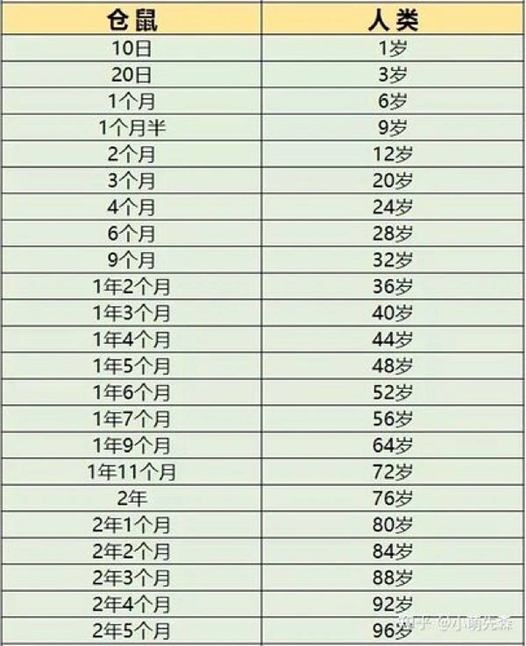 帮大家整理出来的仓鼠年龄对比表哦 希望大家可以在鼠子们短暂的生命