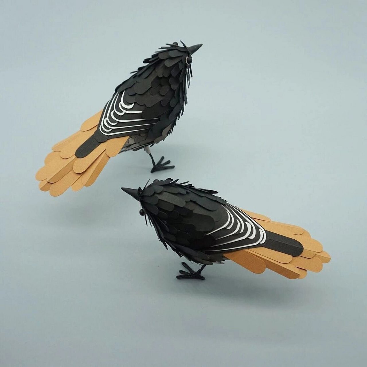 纸艺|立体纸雕 94这只鸟像真的一样6015 设计师克claire muth