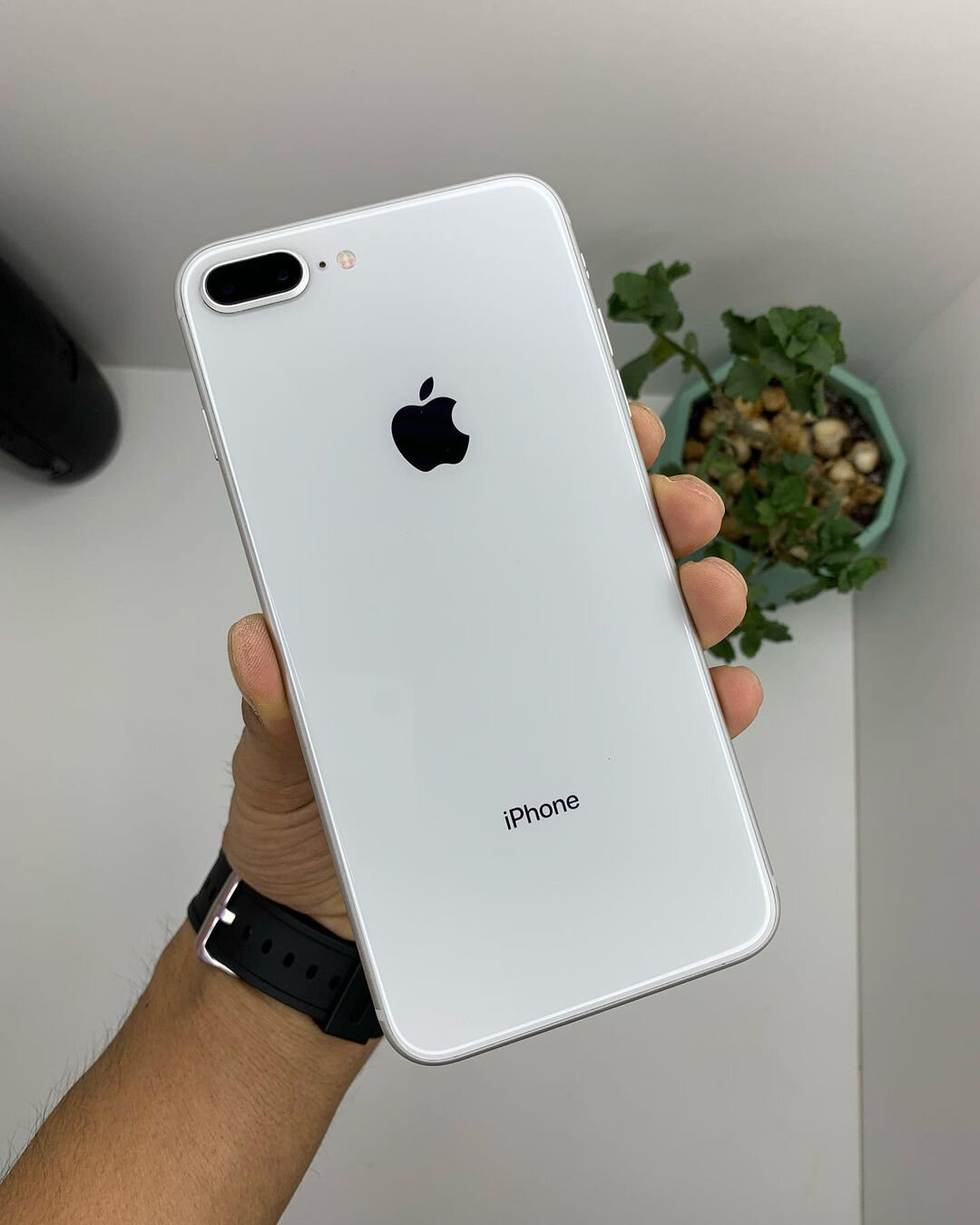 iphone8plus白色赏析