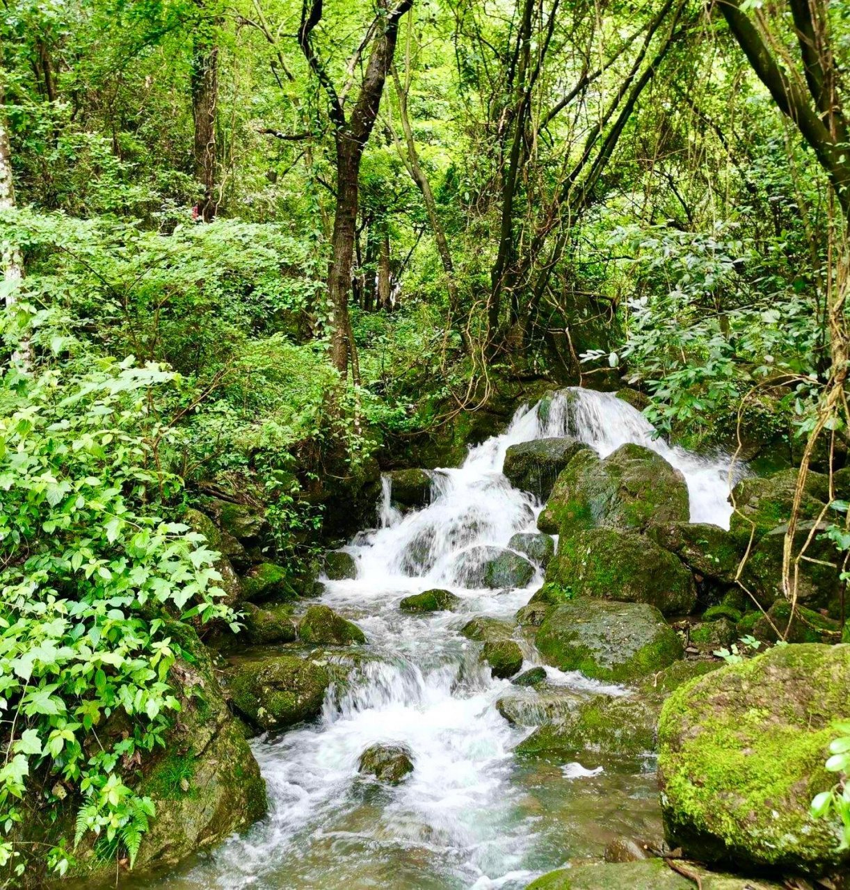 7215地点:浙江省义乌市赤岸镇松瀑山 门票99:免费 交通07
