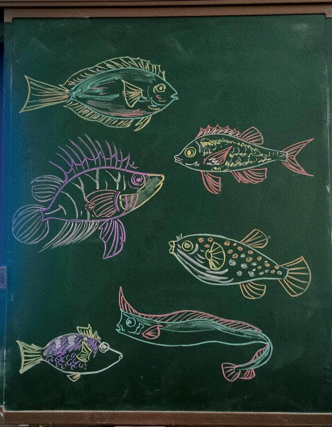 粉笔画——鱼🐠