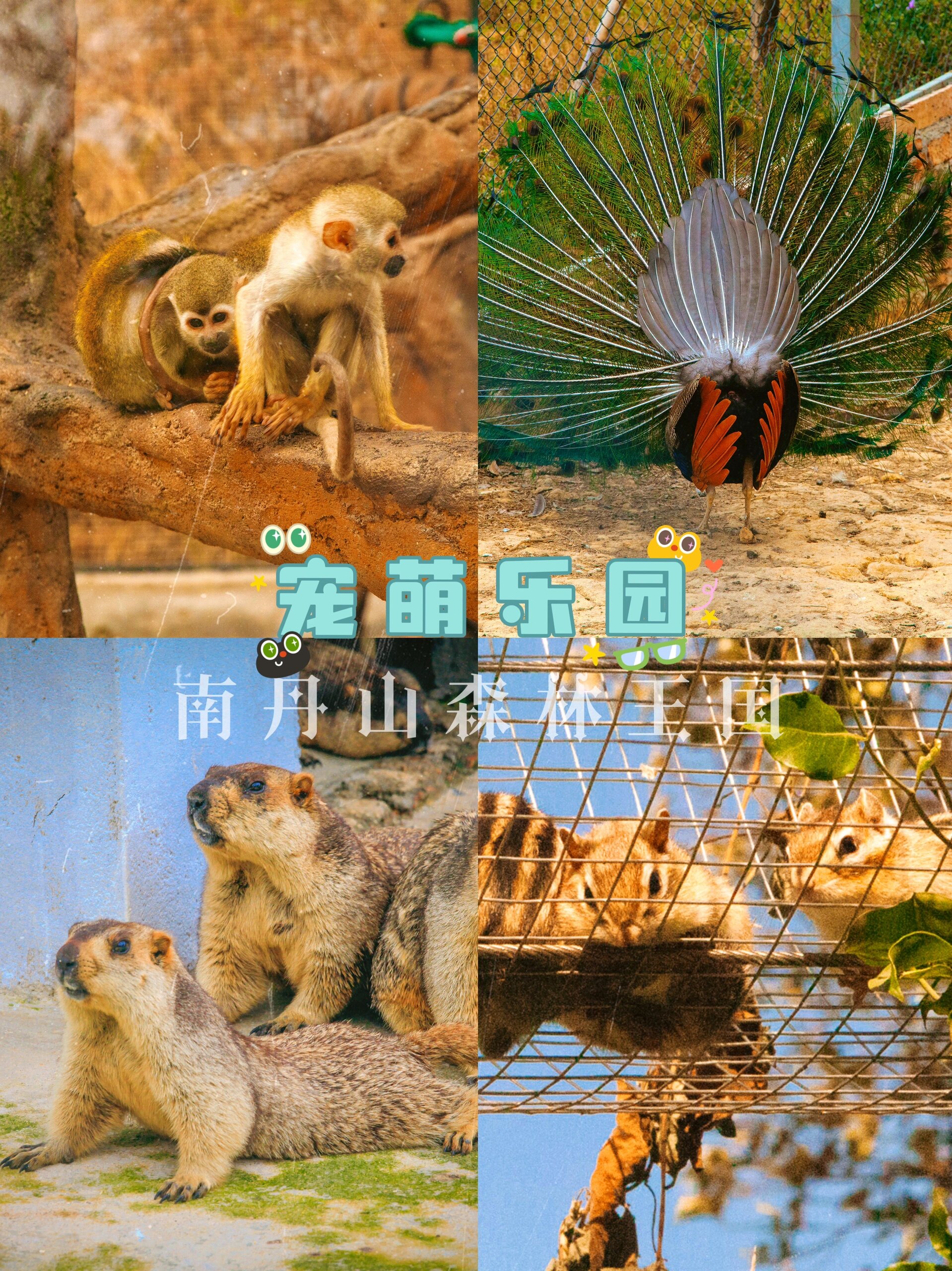 广东省内游丨佛山·南丹山森林王国72