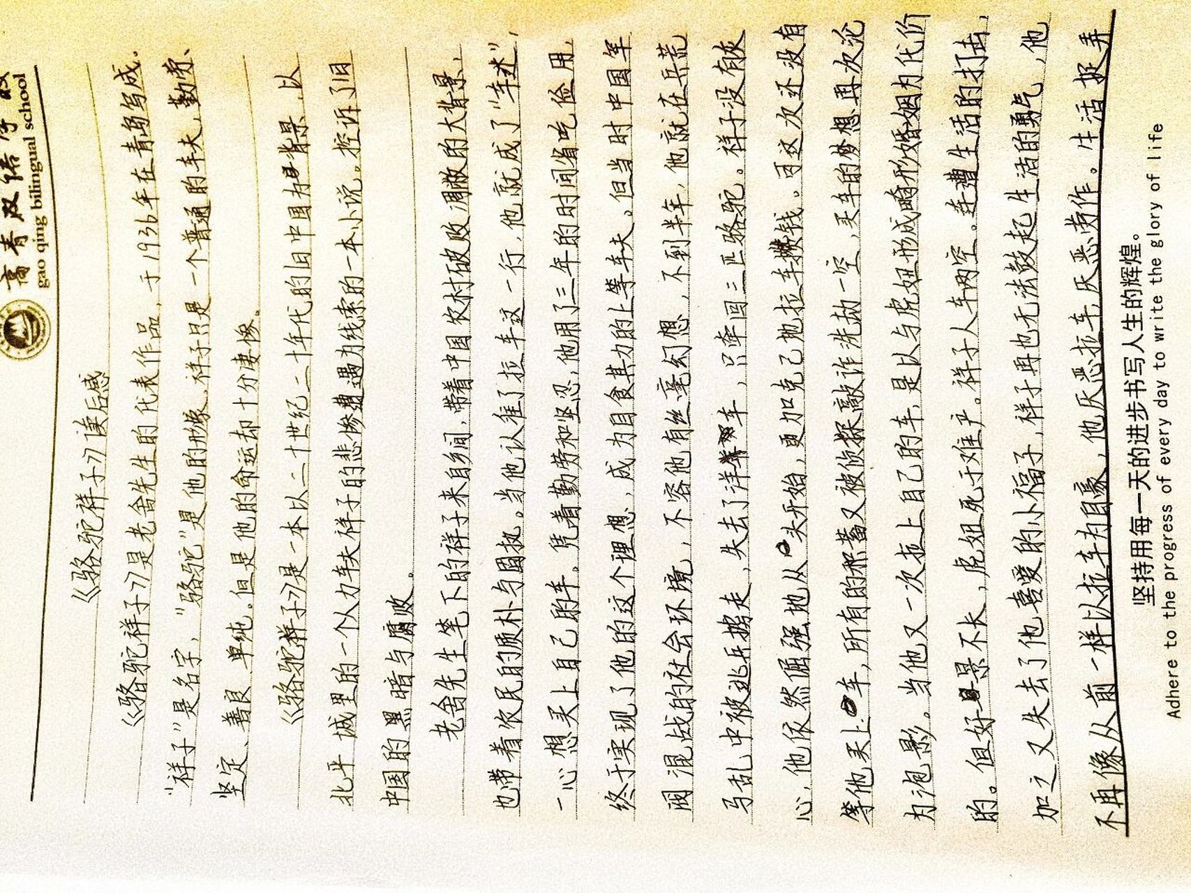 《骆驼祥子》读后感600字