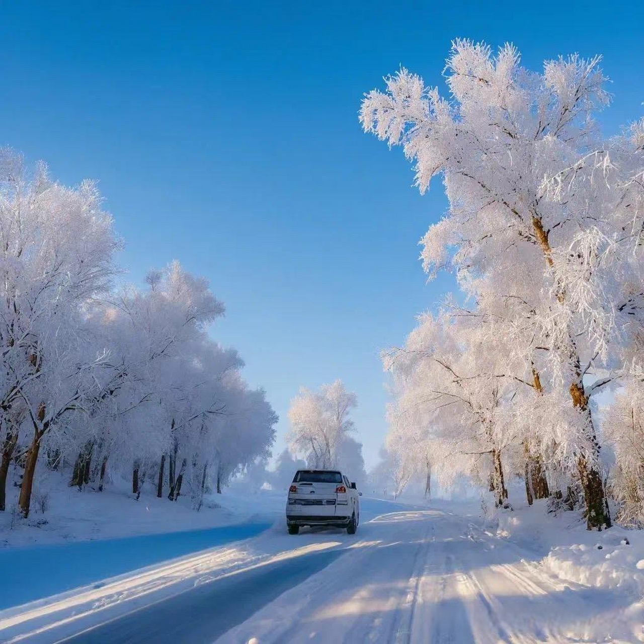 云游风物之旅东北冬天的景色美如画,雪花飘飘,银装素裹,让人置身于