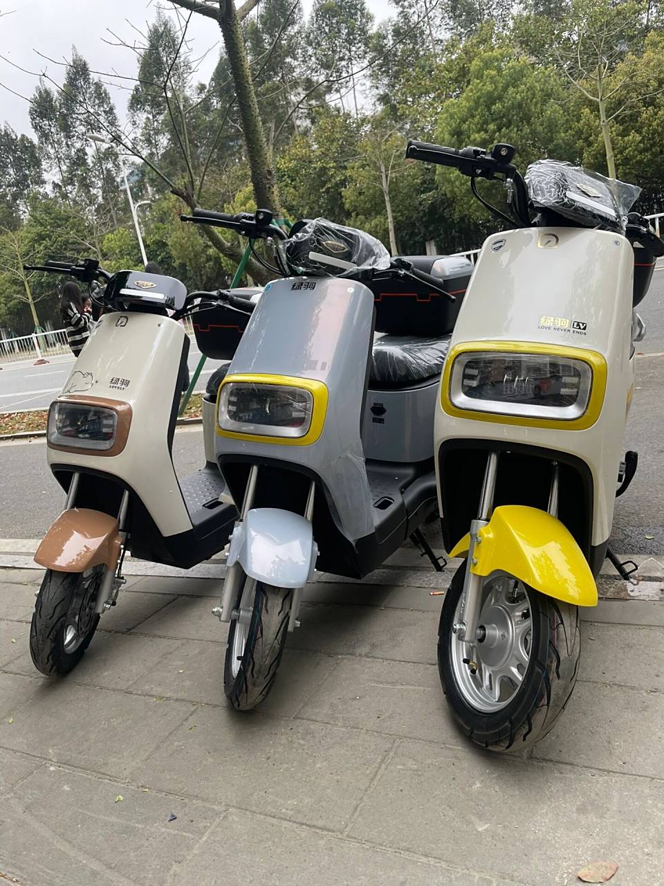 绿驹电动车 绿驹佳捷-远征版搭载60v20a天能a6石墨烯电池91前碟后鼓