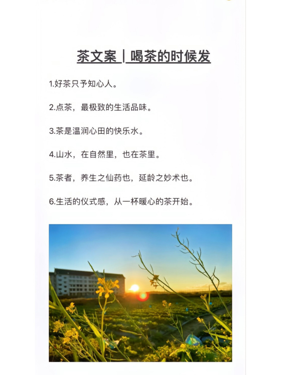 好茶不断,友情不散,喝茶朋友圈文案 95茶文案喝茶的时候就这么发