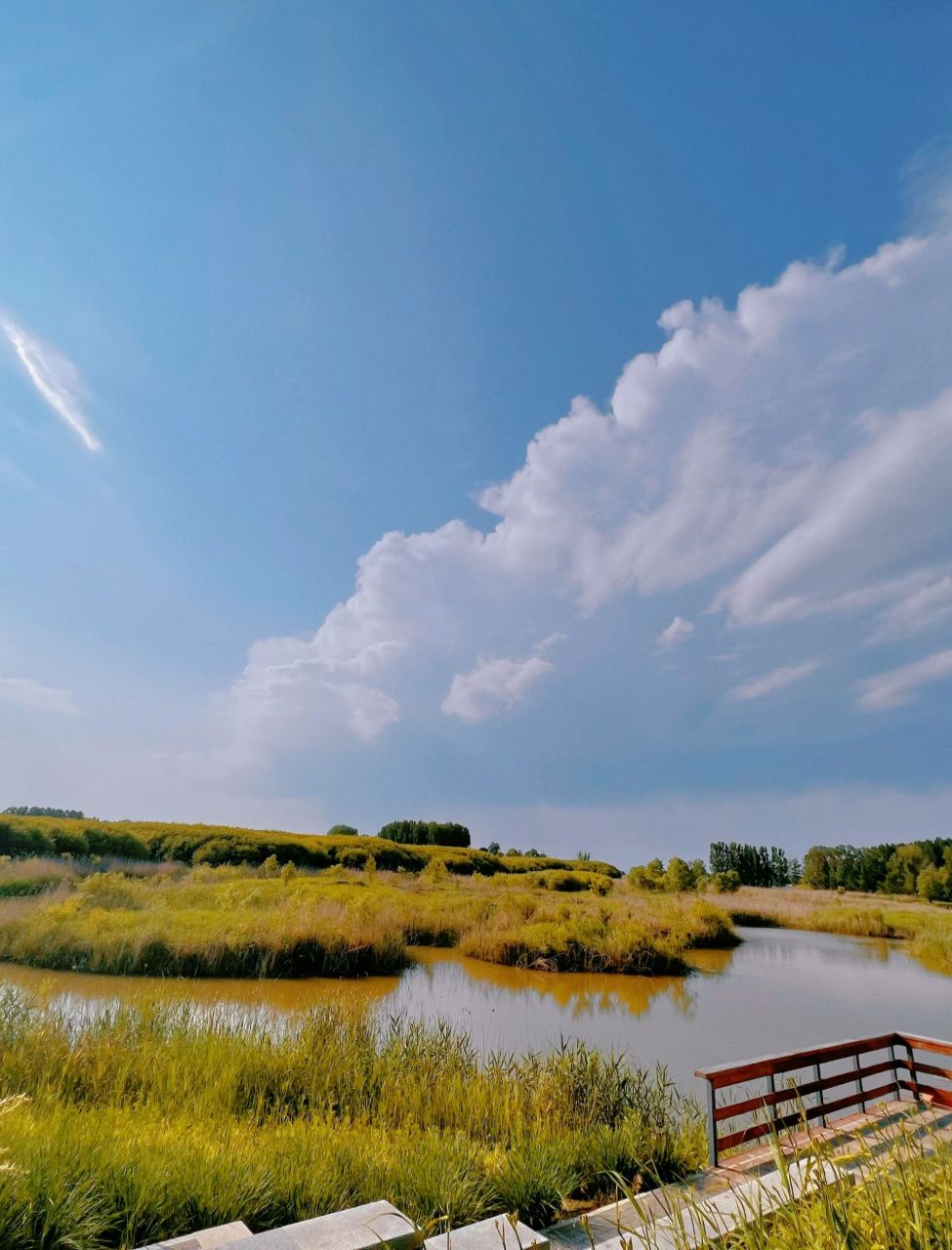 【好景】长治漳泽湖国家城市湿地公园 门票9715:免费93,但是