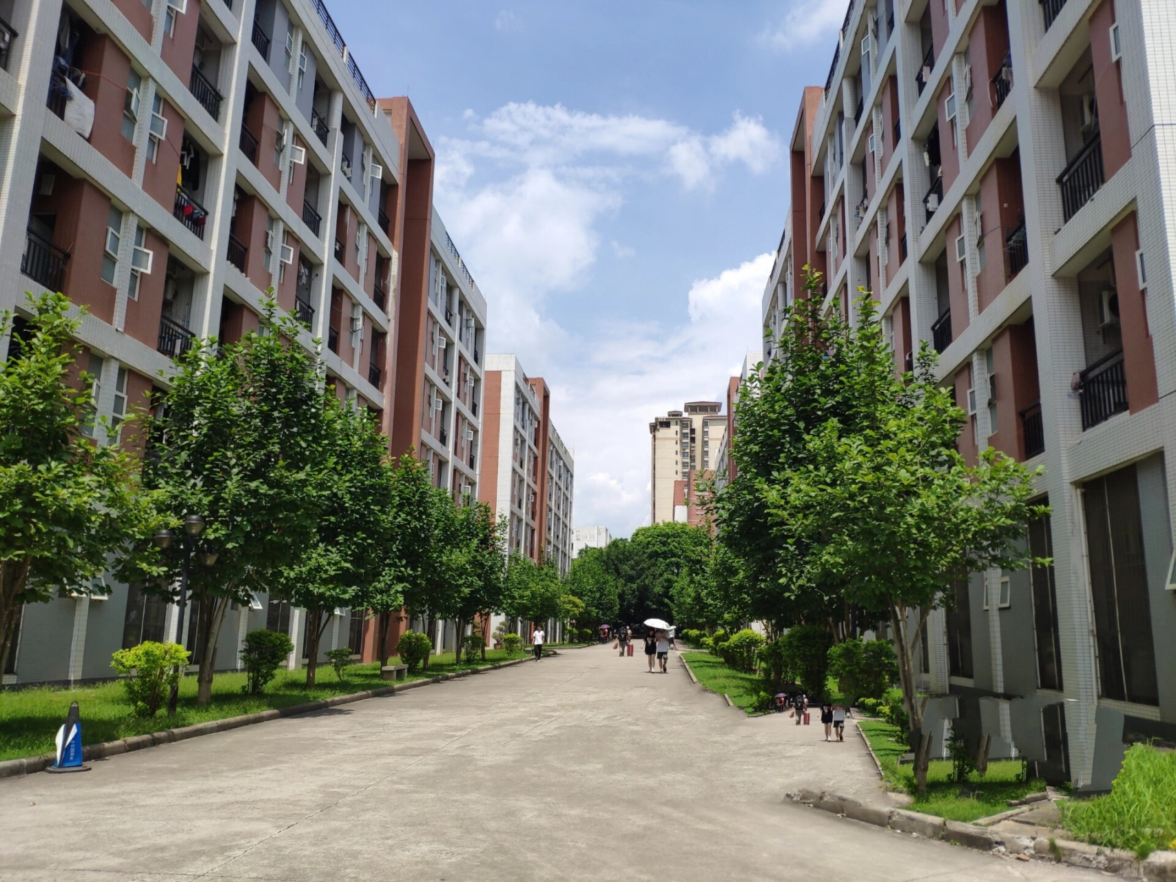 广东农工商(增城校区)咨询必回 广东农工商(增城校区)咨询必回 82