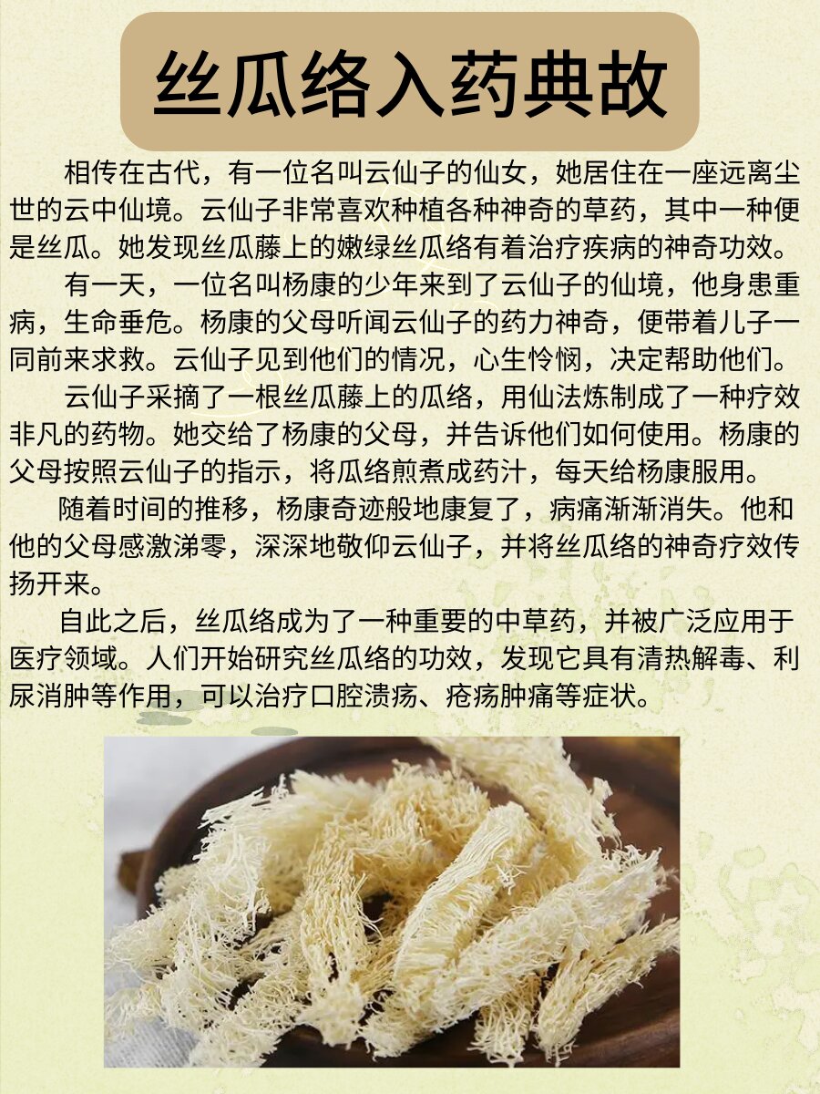 丝瓜络性味图片