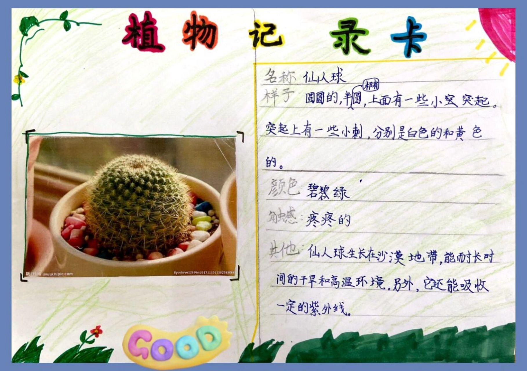 三下《习作·植物记录卡》 我让学生做了植物记录卡,告诉他们:会把