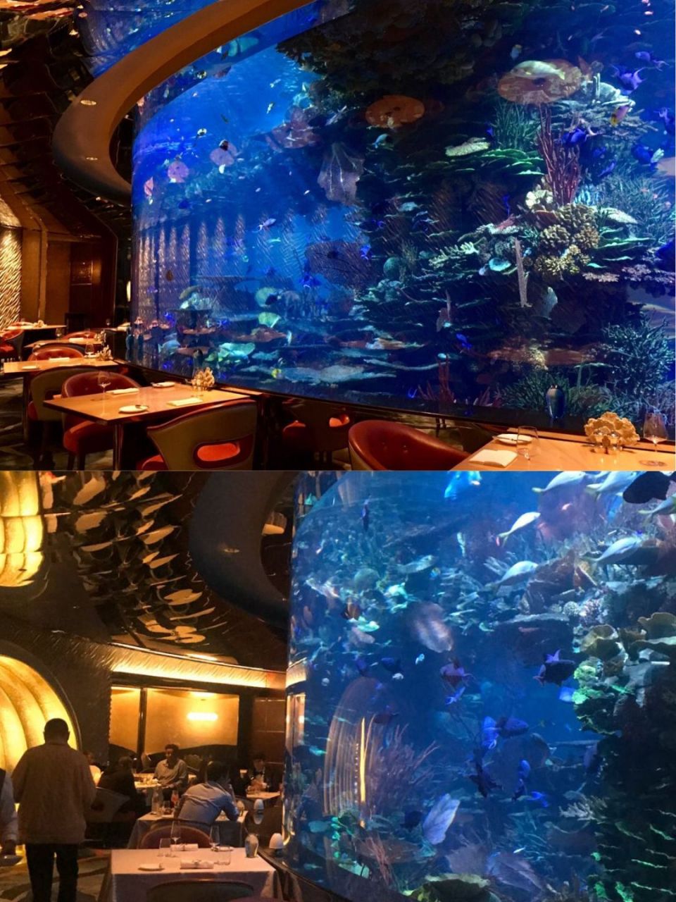 迪拜海底酒店:与海洋共舞的奢华梦境 9902位于迪拜阿拉伯湾水下60