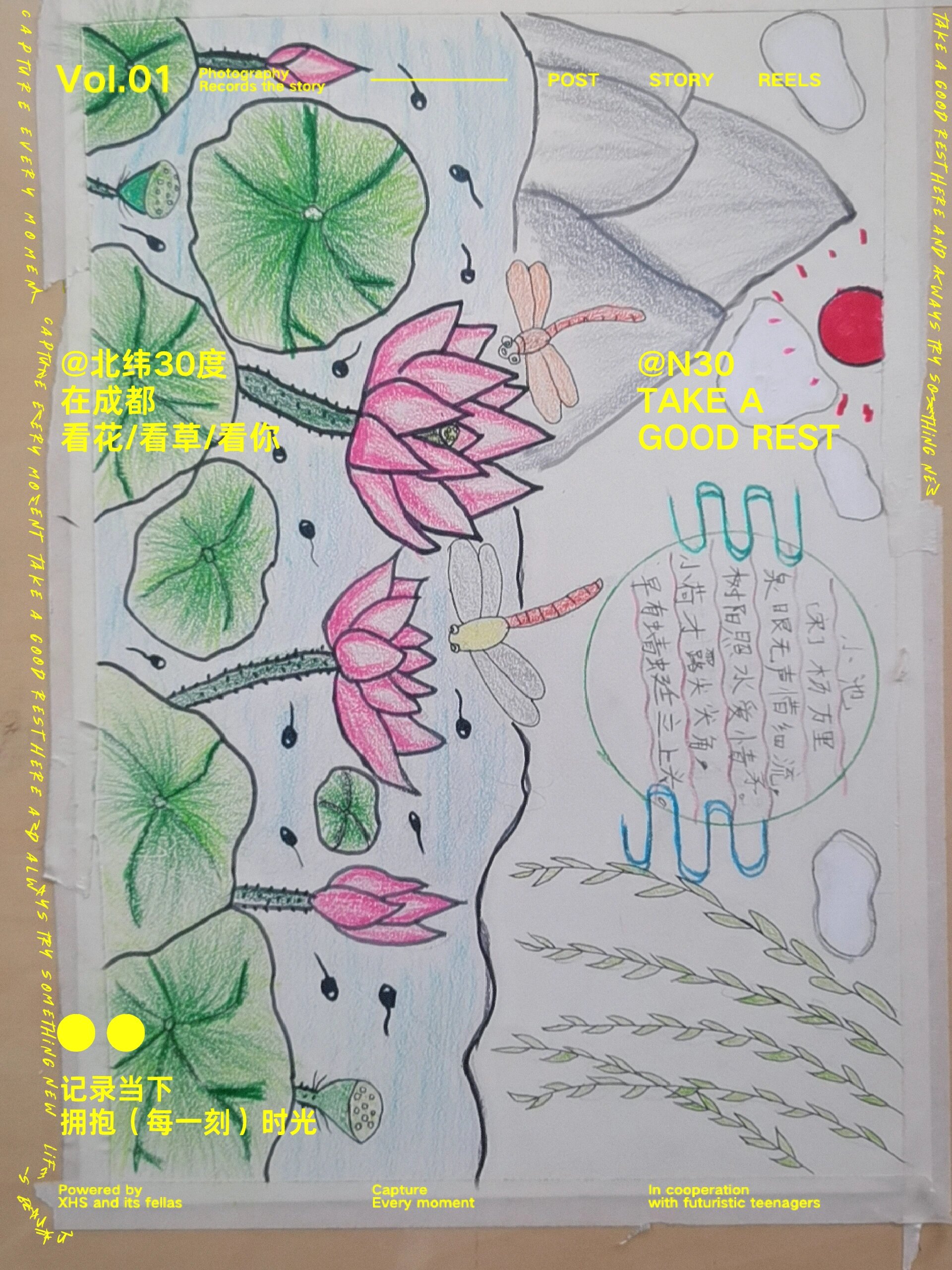 一年级课文故事手抄报小池手抄报  一年级课文故事手抄报小池手抄报