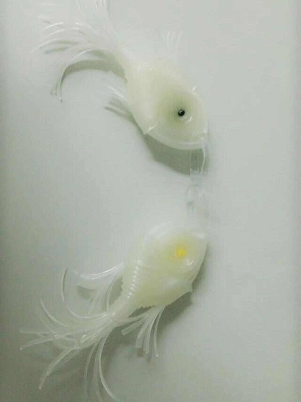 日常-手工(输液器编小鱼) 输液器编小鱼,几年前的手工,还有人知道怎么