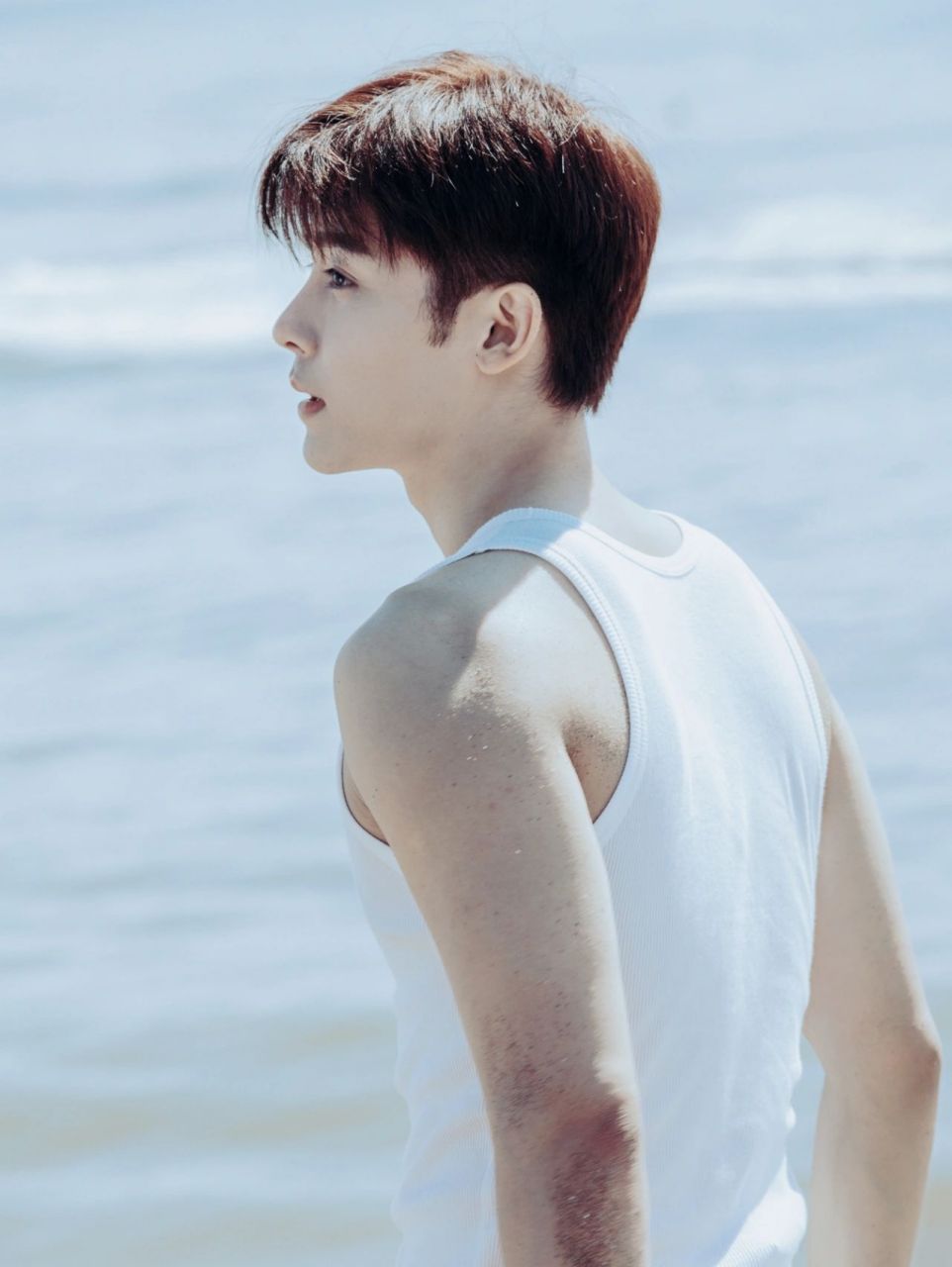 侯明昊海边壁纸|童颜巨肌小王子95 看《人不彪悍枉少年》和《怒海潜