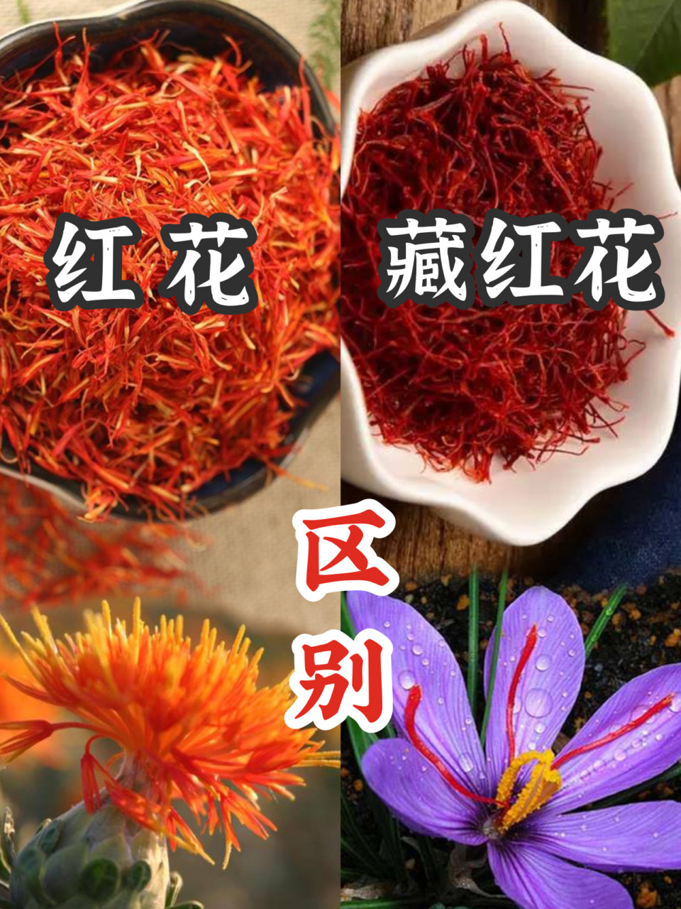差别巨大 - 藏红花又叫西红花,由于与红花名字相似,又都具有活血作用