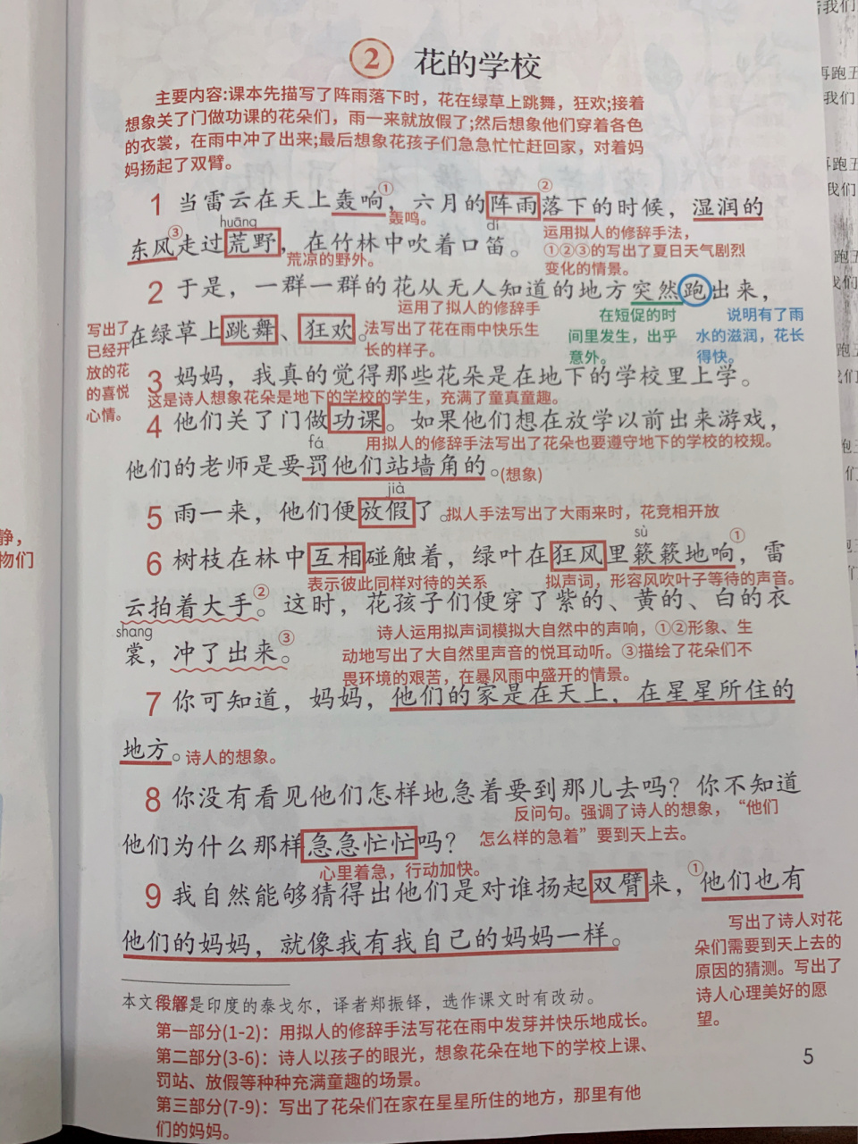 部编版三年级上册花的学校课堂笔记