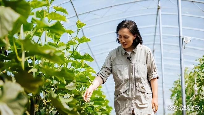 csa农场技术 石嫣在美国学习到的新型农业生产模式,强调消费者与农民