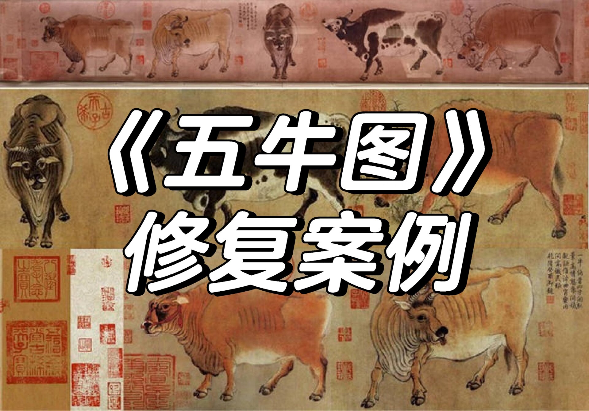 《五牛图》修复案例 1977年1月28日,几经波折最终赎回的《五牛图》被