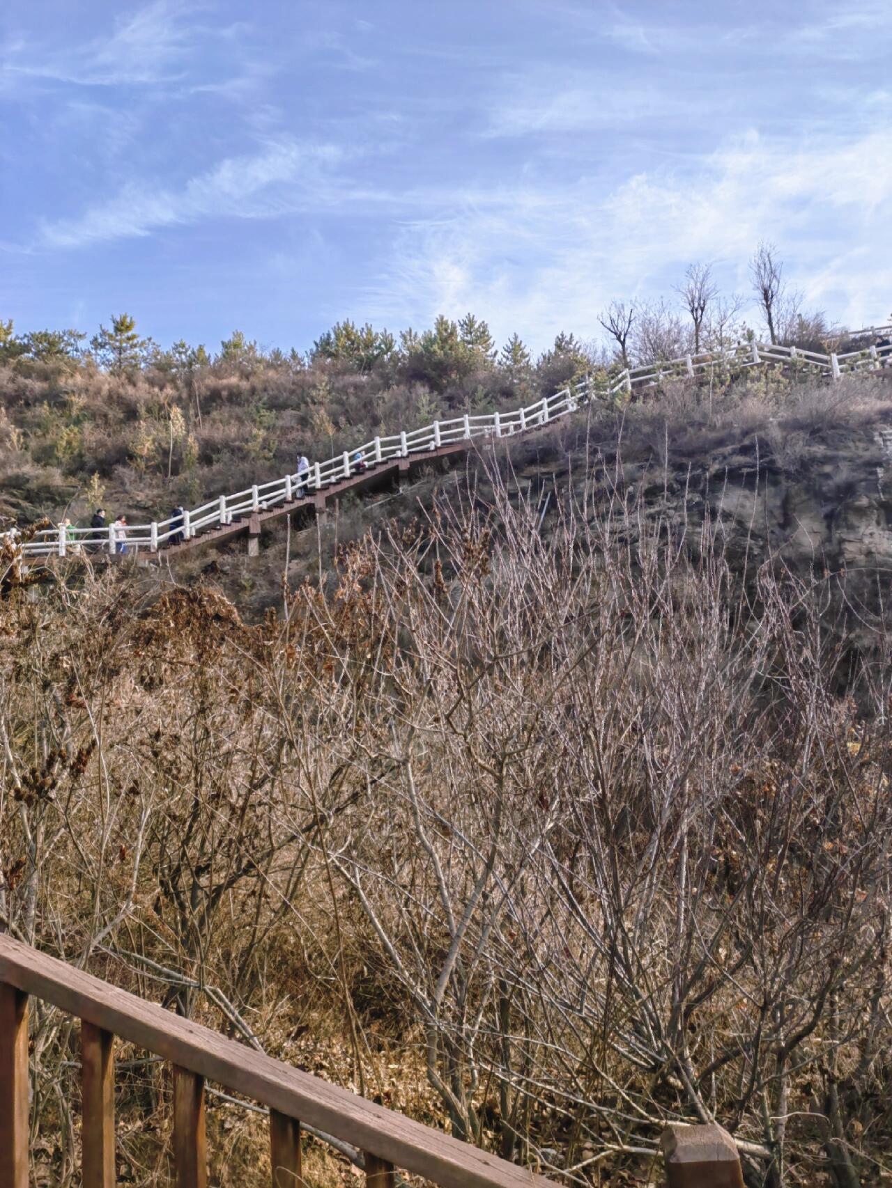 打卡太原东山五龙生态森林公园 【太原东山五龙城郊森林公园】位于