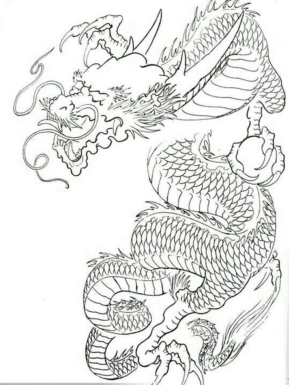 过肩龙纹身手稿 半胛