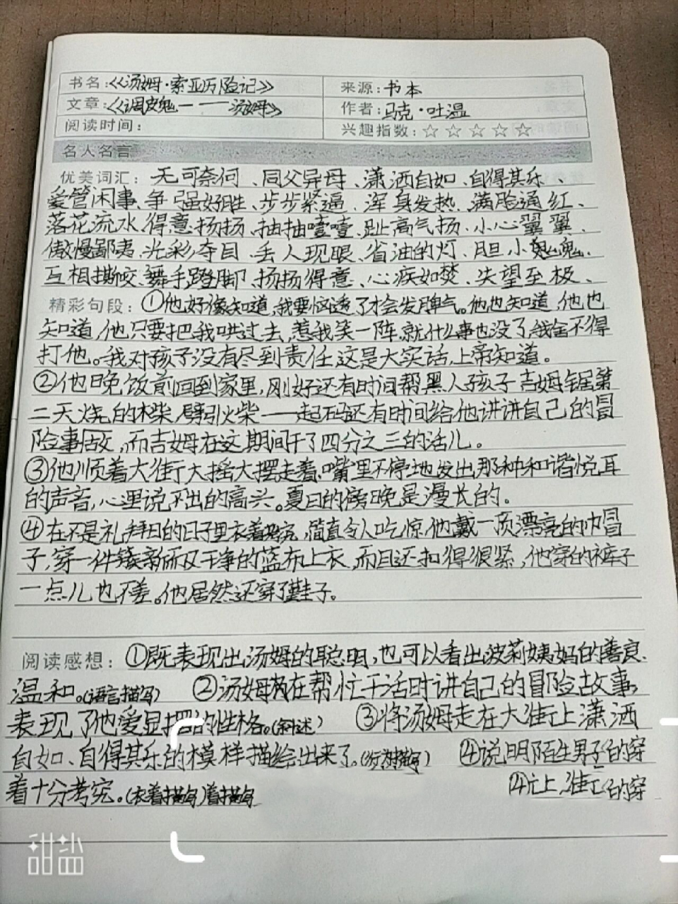 《湯姆·索亞歷險記》摘抄