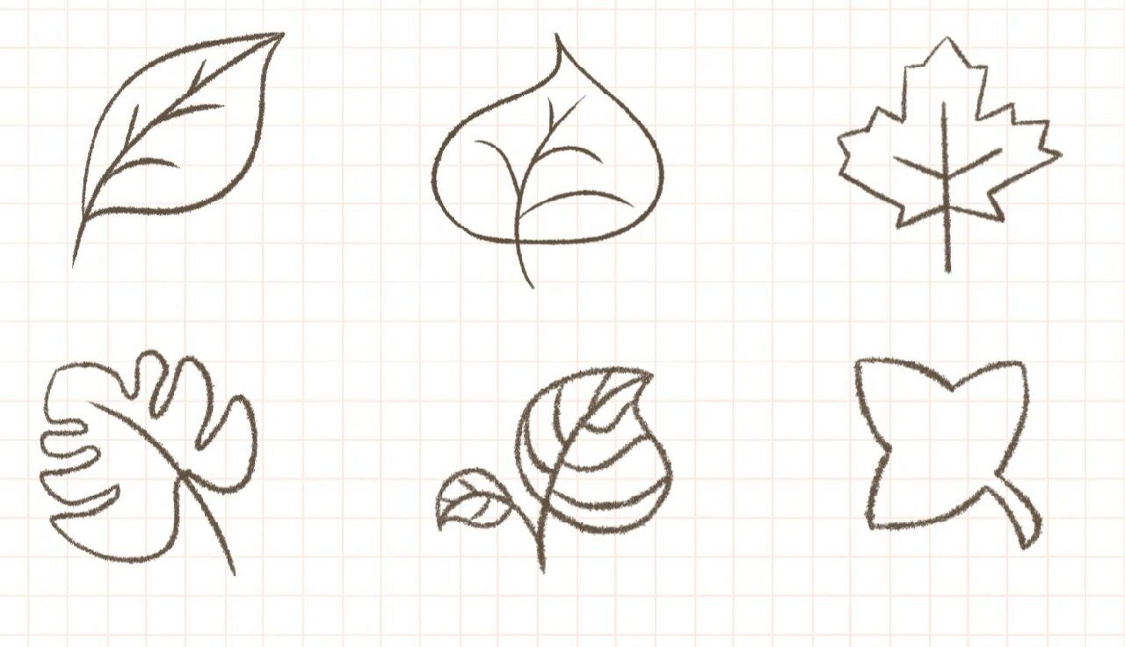 各种叶子简笔画简单图片