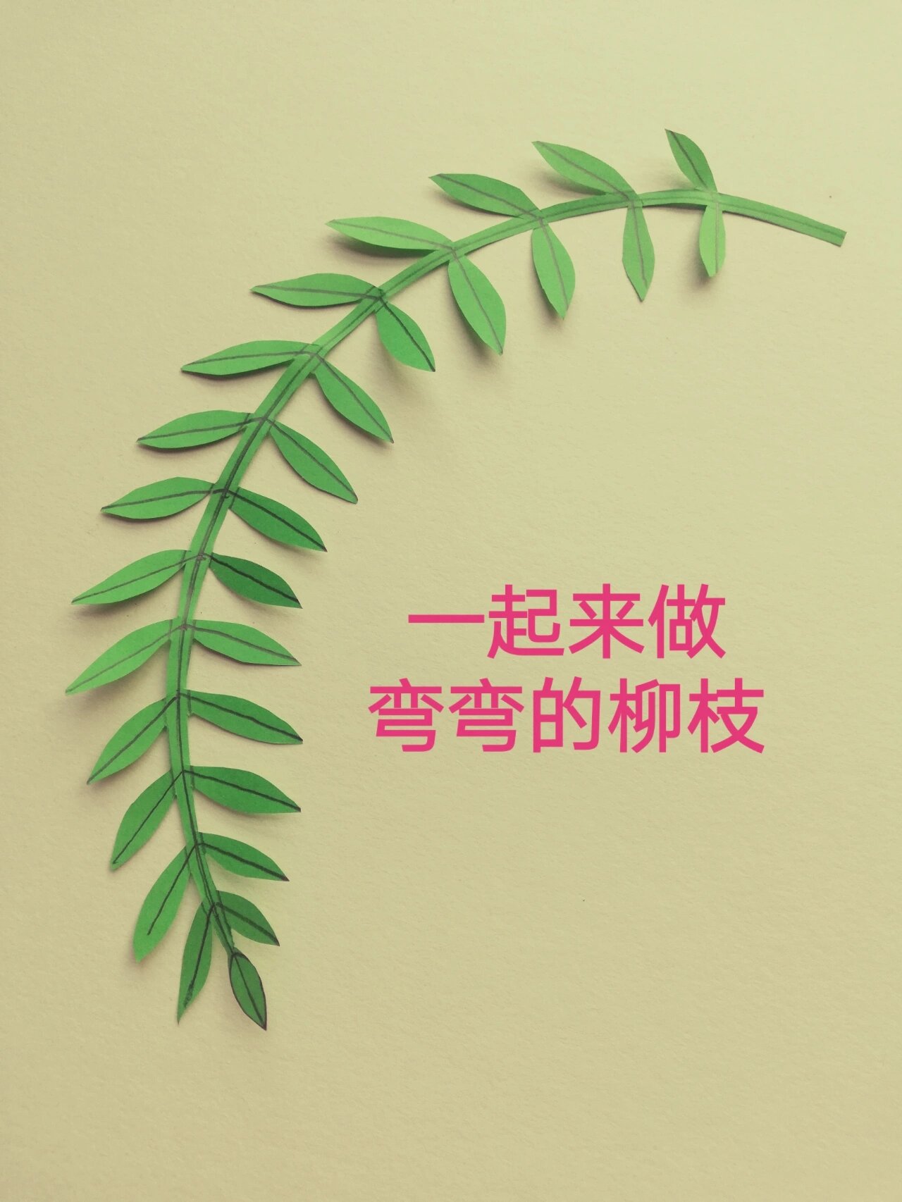 柳枝 森系 叶子剪纸教程 卡纸彩色纸手工