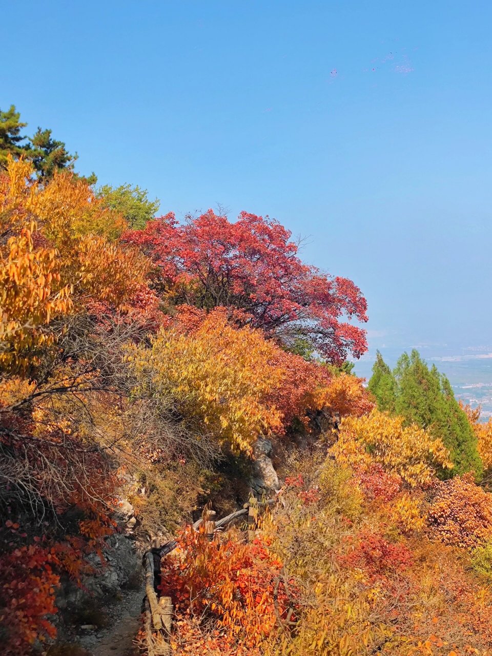 太原最美红叶观赏地-崛围山-最全攻略93 93我认为太原秋天最美的