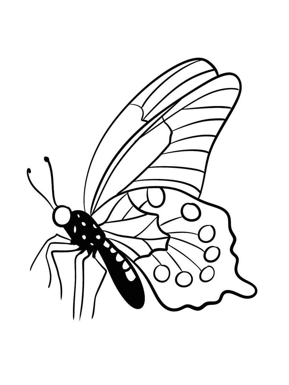 procreate控笔练习——蝴蝶的不同形态 工具:ipad  pro2021 软件:pro