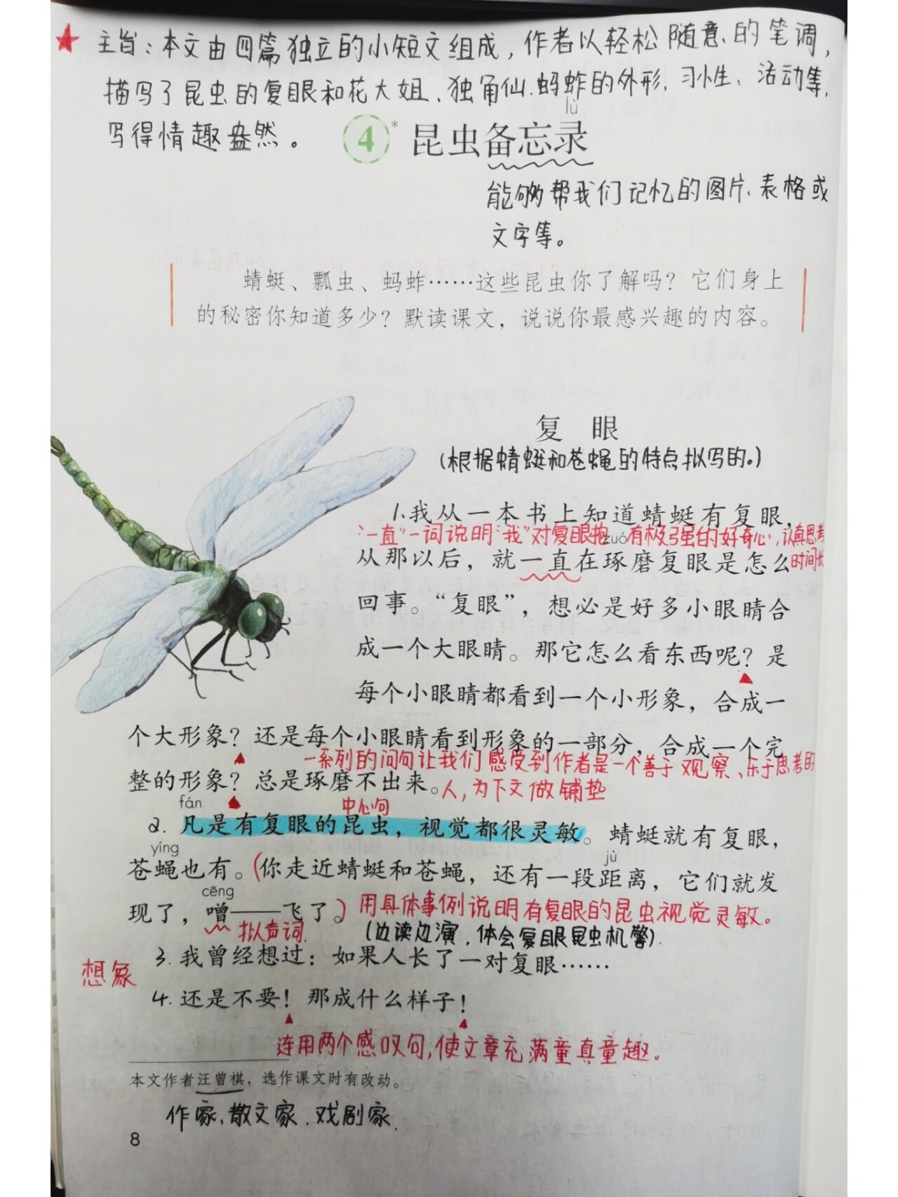 昆虫备忘录 花大姐图片