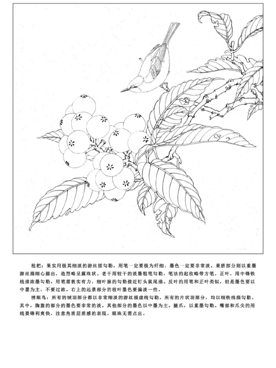 《临宋枇杷绣羽图》 作品名称:《临宋枇杷绣羽图》 作品尺寸:35×35cm