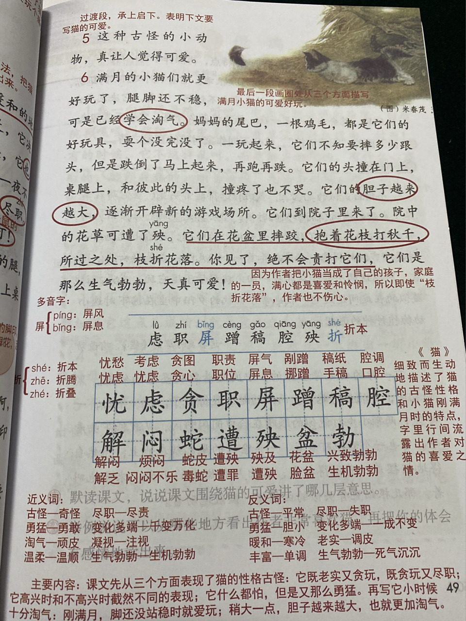 课堂笔记」四下13《猫》 作者老舍(1899----1966),满族人,原名舒庆春