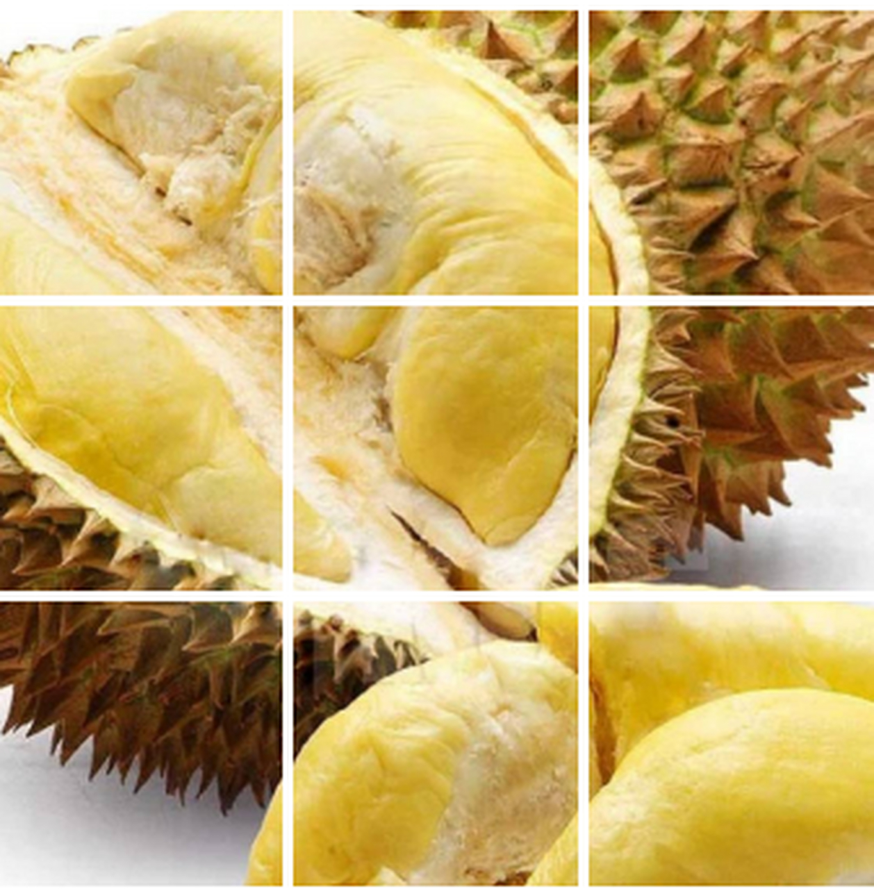 得榴莲这么贵#榴莲(学名:durio zibethinus murr )又名韶子,麝香猫果