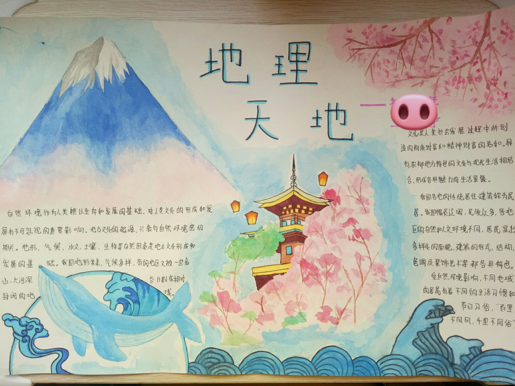 地理  手抄报 花了五个小时终于完成了 这张手抄报主要是蓝色和粉色色
