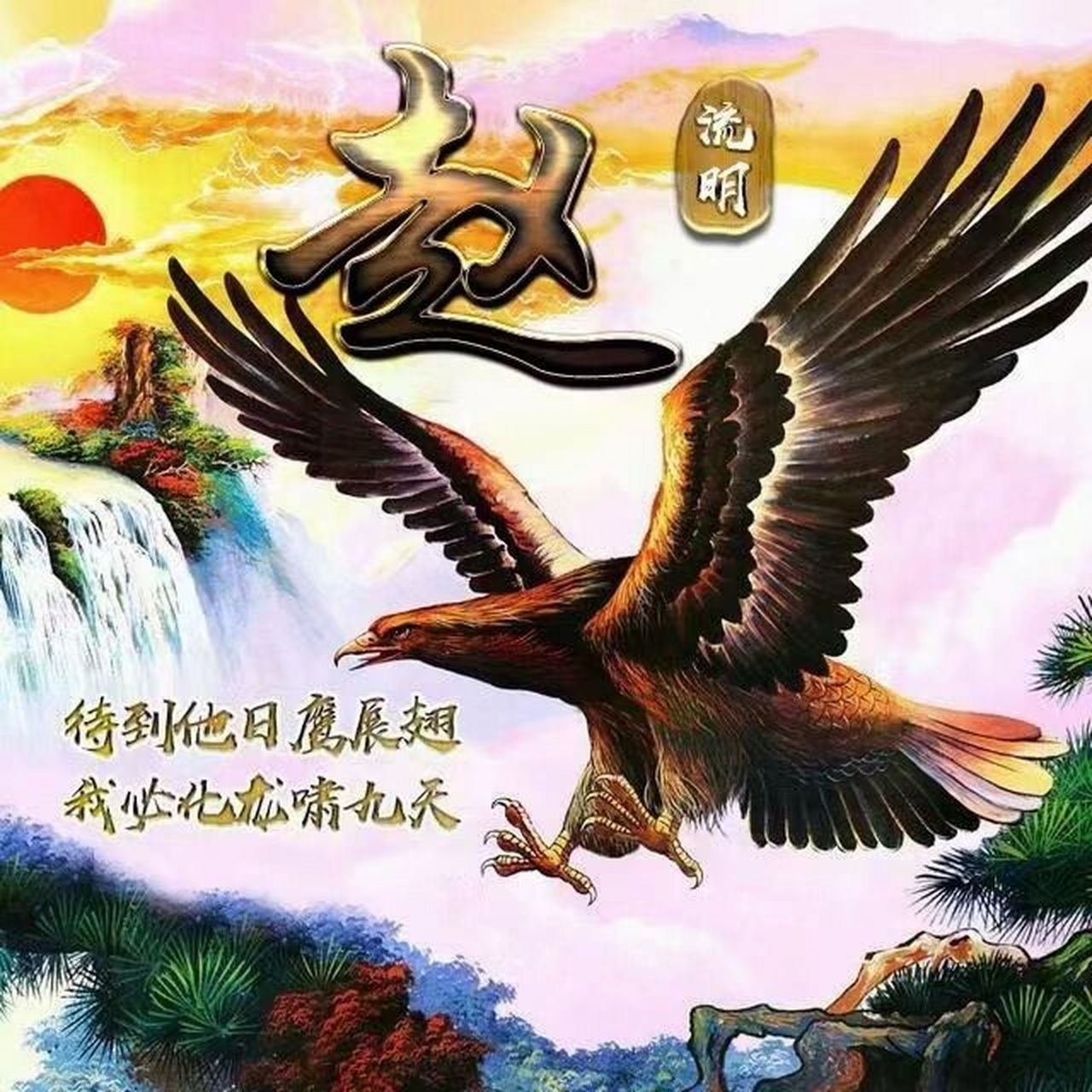 雄鹰展翅励志签名头像